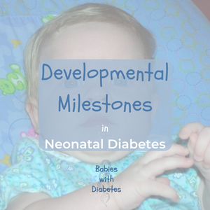 Background of a baby with the title Developmental Milestones in Neonatal Diabetes overlaying the picture. Logo of Babies with Diabetes